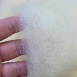 75 grams of Coopworth Wool Batting