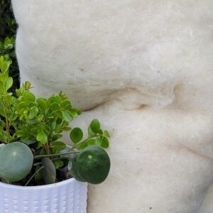 75 grams of All Natural Wool Batting