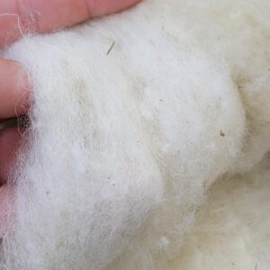 75 grams of All Natural Wool Batting