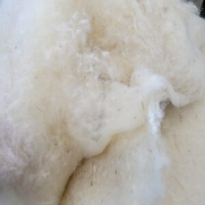 75 grams of All Natural Wool Batting
