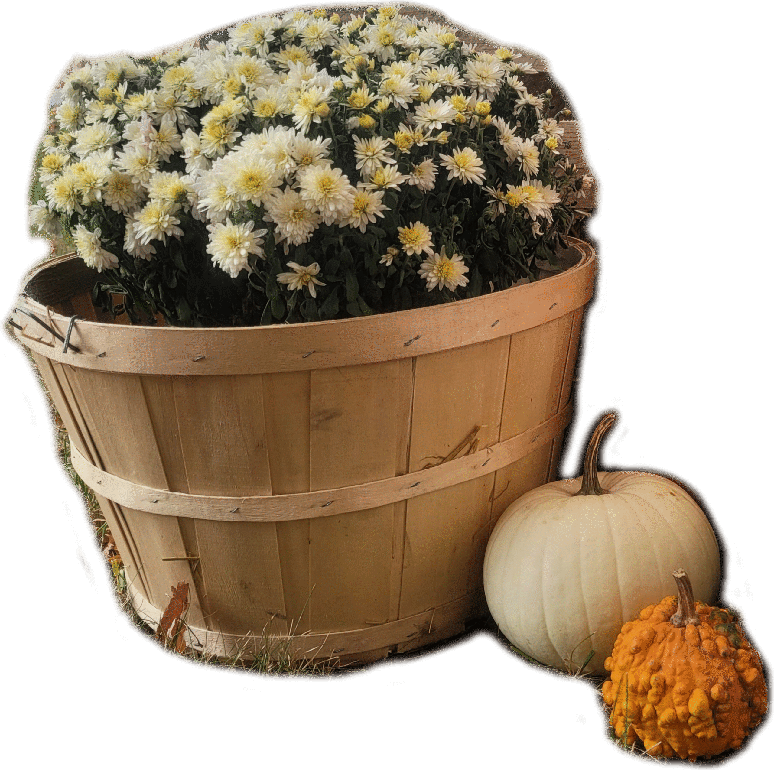 Bushel Basket 