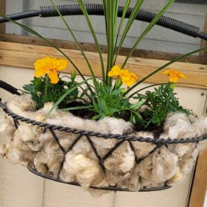 Wool Mulch