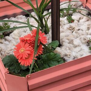 Wool Mulch